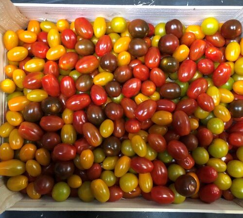 TOMATOES snack tricolor